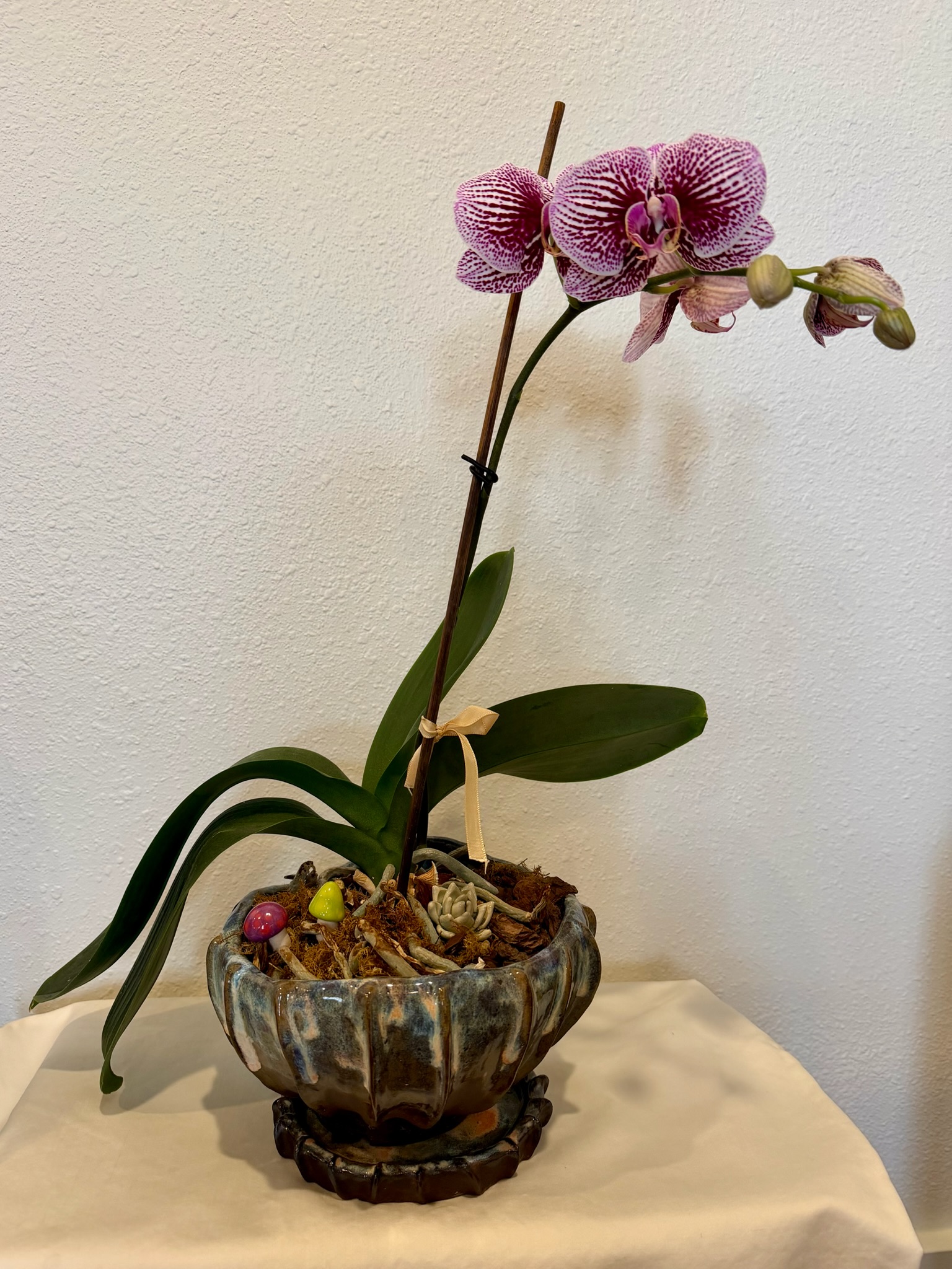 big brown pot — view 3