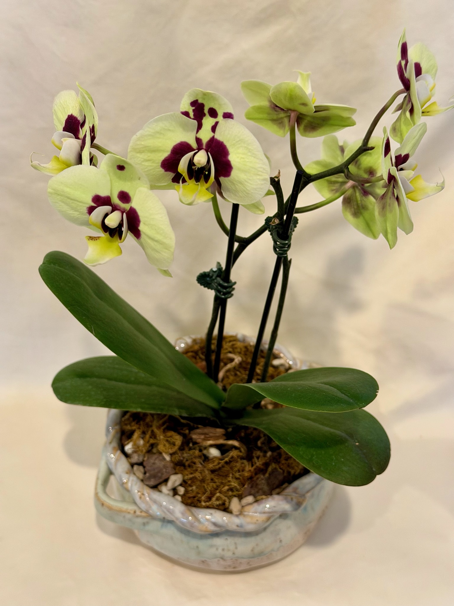 braided basket pot — view 2